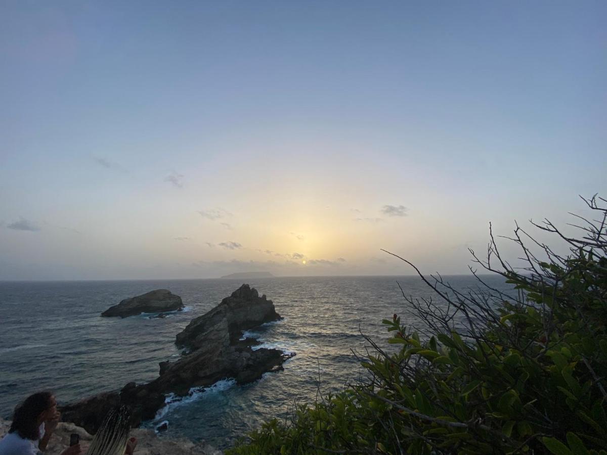 Maison Petit Paradis Basse-Terre Ngoại thất bức ảnh